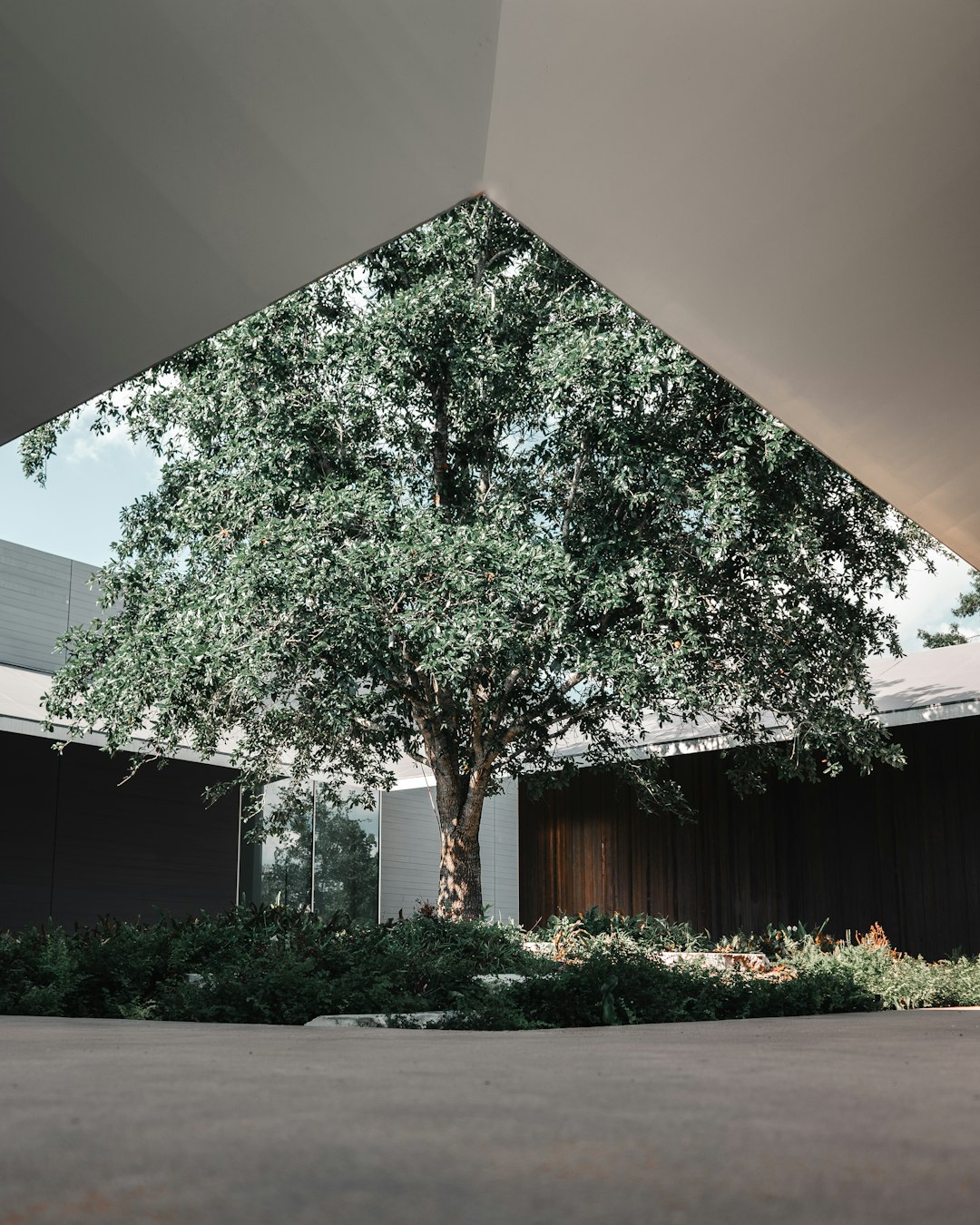 Memorial Park Estate